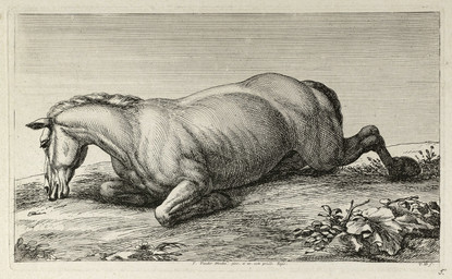 ambiguous_gender corpse death feral flower fur grass head_on_ground hooves leaf lying on_front outside plant sky solo tail jan_van_huchtenburg public_domain equid equine horse mammal absurd_res ancient_art hi_res