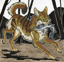 ambiguous_feral ambiguous_gender black_nose brown_body brown_fur cheek_tuft chest_tuft dipstick_tail duo facial_tuft fangs feral fur glistening glistening_eyes green_eyes grey_body looking_at_viewer markings outside plant shadow striped_back tail tail_markings tan_body tan_fur teeth text tree tuft whiskers white_body heatherwolf aquatic canid canine canis coyote fish mammal detailed hi_res url