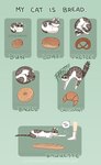 ambiguous_gender bagel baguette bread clothing comparison croissant dialogue feral food footwear loaf pastry pretzel_(food) socks solo tail text whiskers young young_ambiguous young_feral mikiko-art domestic_cat felid feline felis human mammal english_text hi_res