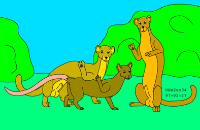 animal_genitalia balls brown_body brown_fur feral fur genitals gesture grass group group_sex looking_at_viewer male male/male nude nude_male outside penis plant public public_sex sex sheath shrub sitting size_difference sky standing tail threesome toony trio waving waving_at_viewer urbanhermit mammal murid murine mustelid musteline rat rodent true_musteline weasel 1997 colored dated