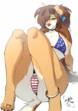 american_flag_bikini anthro bikini biped breasts brown_hair clothed clothing eyebrows female flag_bikini flag_swimwear fur hair multicolored_body solo swimwear two-piece_swimsuit white_body inu-sama kela_(inu-sama) canid canine mammal 2026 absurd_res digital_media_(artwork) hi_res
