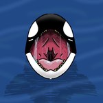 ambiguous_gender anthro bodily_fluids feral mouth_shot open_mouth saliva saliva_on_tongue saliva_string sea simple_background solo teeth vore water yellow_teeth jtay cetacean dolphin fish mammal marine oceanic_dolphin orca sea_creature toothed_whale whale 1:1 hi_res