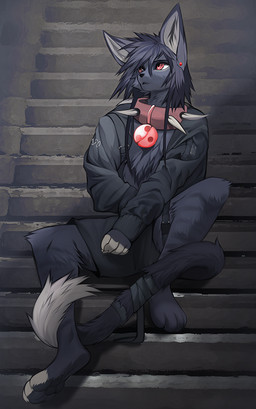 anthro black_body black_fur bottomwear clothing collar digitigrade fur jacket male shorts solo topwear angiewolf domestic_cat felid feline felis mammal 2022 digital_media_(artwork)
