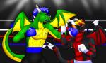 anthro blue_eyes blue_hair bottomwear boxing boxing_gloves clothed clothing duo fight fighting_ring fur gloves hair handwear horn male membrane_(anatomy) membranous_wings mouthguard muscular nipples open_mouth pants sport tail topless wings hunter-husky mythology lorenz_(freakyy-dragon) red_the_dragon dragon furred_dragon furred_scalie mythological_creature mythological_scalie scalie