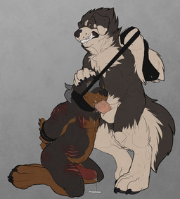 angry anthro anthro_on_anthro balls bdsm bite_mark black_body black_fur black_tail blindfold bodily_fluids bondage bound brown_body brown_fur brown_tail clenched_teeth collar cum cum_in_mouth cum_inside dominant dominant_male duo erection facial_piercing fellatio foreskin fur genital_fluids genitals hand_on_head hands_behind_back humanoid_genitalia humanoid_penis kneeling leash leash_pull lip_piercing male male/male male_penetrated male_penetrating male_penetrating_male multicolored_body multicolored_fur multicolored_tail nude oral oral_penetration penetration penile penis piercing precum scar sex submissive submissive_male tail teeth two_tone_body two_tone_fur two_tone_tail white_body white_fur white_tail wounded no_swift nevarrio canid canine canis domestic_dog livestock_guardian_dog mammal mastiff molosser mountain_dog pastoral_dog rottweiler tibetan_mountain_dog 2013 hi_res