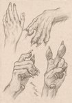 5_fingers anatomy anthro claws diagram fingers high-angle_view multiple_poses paws pose side_view russell_tuller mythology canid canine canis domestic_dog human mammal mythological_canine mythological_creature werecanid werecanine werecreature werewolf wolf graphite_(artwork) hi_res model_sheet signature sketch sketch_page traditional_media_(artwork)