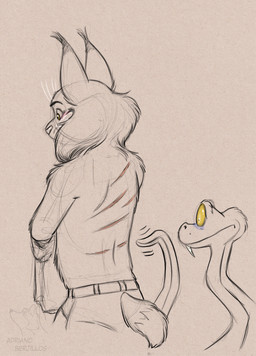 anthro bottomwear cheek_tuft clothing duo facial_tuft fangs feral fluffy_ears male male/male pants scar scared scars_all_over short_tail tail teeth topwear tuft underwear_marks whiskers yellow_eyes adriano_berjillos disney zootopia gary_de'snake pawbert_lynxley canada_lynx felid feline lynx mammal pit_viper reptile scalie snake viper