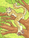 anthro breasts butt female genitals green_eyes hindpaw leopard_spots looking_at_viewer nude paws plant pose pussy solo spots tail tree wood curiodraco felid leopard mammal pantherine 2012 pinup