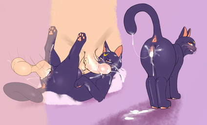 abdominal_bulge angry anus bestiality blush bodily_fluids butt butt_focus cum cum_in_vagina cum_inside cum_on_face female female_on_human feral feral_penetrated genital_fluids genitals group human_on_feral human_penetrating human_penetrating_feral humanoid_genitalia humanoid_penis interspecies larger_human larger_male leaking_cum male male/female male_on_feral mmf_threesome pawpads paws penetration penis penis_in_mouth sex simple_background size_difference smaller_female smaller_feral smaller_penetrated spread_legs spreading tail_anus trio vaginal vaginal_penetration whiskers notsafecat sailor_moon_(series) luna_(sailor_moon) domestic_cat felid feline felis human mammal hi_res