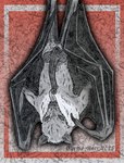 animal_genitalia animal_penis autofellatio balls bat_ears bat_wings chiropteran_penis feral genitals licking male masturbation membrane_(anatomy) membranous_wings oral oral_masturbation penile penile_masturbation penis penis_lick sex solo tongue upside_down wings eyegis-garr bat flying_fox mammal megabat hi_res