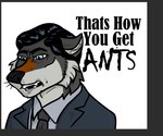 anthro black_hair black_nose border dialogue fur grey_body grey_border grey_fur hair male parody solo text briarlupine archer_(series) sterling_archer canid canine canis mammal wolf english_text meme