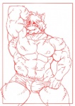 abs anthro armpit_hair biceps big_muscles body_hair clothing eye_patch eyewear fur male markings muscular muscular_anthro muscular_male nipples pecs scar solo stripes underwear undressing dandoo drakuun dard felid mammal pantherine tiger