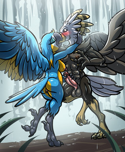 anthro balls beak_kiss blue_body blue_feathers breasts brown_body brown_feathers butt duo feathers feet female genitals handjob kissing male male/female multicolored_body multicolored_feathers nipples nude nude_anthro nude_female nude_male outside penile penis romantic romantic_ambiance romantic_couple sex talons toes two_tone_body two_tone_feathers vulva water waterfall wet wet_body wet_feathers white_body white_feathers yellow_body yellow_feathers bassybefuddle conditional_dnp accipitrid accipitriform avian bird eagle macaw neotropical_parrot parrot true_parrot hi_res