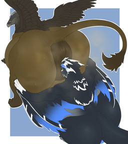 anal anus backsack balls big_anus big_balls big_butt bodily_fluids butt duo face_in_ass feral feral_on_feral genitals huge_anus huge_balls huge_butt hyper hyper_anus hyper_balls hyper_butt hyper_genitalia looking_at_another looking_back looking_back_at_another male male/male muscular muscular_feral musk musky_balls musky_butt oral puffy_anus rimming sex sitting steam sweat sweaty_butt sweaty_genitalia tail thick_thighs wings aetherxov capcom monster_hunter mythology ajax_(aetherxov) remy_(remycuga) avian flying_wyvern gryphon mythological_avian mythological_creature nargacuga silverwind_nargacuga absurd_res hi_res