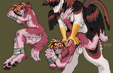 angry animal_genitalia animal_penis anthro anthro_on_anthro anthro_on_bottom anthro_on_top anthro_penetrated anthro_penetrating anthro_penetrating_anthro balls black_body black_claws black_feathers black_wings blonde_hair bodily_fluids bound breasts brown_background brown_body brown_feathers brown_pawpads brown_tail brown_wings canine_genitalia canine_penis claws clenched_teeth countershading cum dipstick_tail dominant dominant_anthro dominant_male ejaculation feathers feet floppy_ears fur genital_fluids genitals gynomorph gynomorph/male gynomorph_on_bottom gynomorph_penetrated hair hair_over_eyes hands_tied hindpaw intersex intersex/male intersex_on_bottom intersex_penetrated leg_scar legs_tied lying male male_on_top male_penetrating male_penetrating_gynomorph male_penetrating_intersex markings multicolored_body multicolored_feathers multicolored_fur multicolored_hair multicolored_tail multicolored_wings nipples nude_gynomorph nude_male on_bottom on_side on_top pawpads paws penetration penis penis_tip pink_balls pink_body pink_breasts pink_countershading pink_ears pink_eyes pink_fur pink_hair pink_nipples pink_nose pink_penis pink_sheath pink_tail pink_tail_tip pink_tongue questionable_consent red_body red_feathers red_tail red_wings scar scutes sex sharp_teeth sheath side_scar simple_background solo submissive submissive_anthro submissive_gynomorph submissive_intersex tail tail_markings taped_mouth teeth text tongue tongue_out two_tone_hair white_body white_countershading white_fur wings wounded yellow_scutes birdpaw_(artist) mythology fursona_(birdpaw) canid canine canis domestic_dog dragon feathered_dragon feathered_scalie furred_dragon furred_scalie mammal mythological_creature mythological_scalie scalie 2025 artist_name digital_drawing_(artwork) digital_media_(artwork) hi_res multiple_images