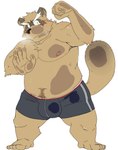 2015 against_surface anthro behind_glass belly black_nose blush brown_body brown_fur bulge bulge_against_glass canid canine clothing fur hi_res humanoid_hands kemono male mammal moobs nipples on_glass overweight overweight_male raccoon_dog shiike999 simple_background solo tanuki underwear white_background
