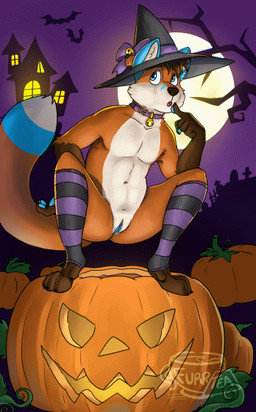 andromorph anthro blue_body blue_ears blue_eyes blue_fur bodily_fluids clothing collar food fruit fur genital_fluids genitals hat headgear headwear holidays intersex legwear multicolored_body multicolored_fur night nude orange_body orange_fur peeing peeing_into_container plant pumpkin solo stockings urine vulva white_body white_fur white_inner_ear witch_hat furrtea halloween zelminax canid canine fox mammal 2021 animated