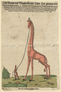 1559 animal_genitalia biped clothed clothed_human clothed_male clothing cloven_hooves detailed_background duo feral fully_sheathed genitals halter hat headgear headwear holding_leash holding_object hooves larger_feral leash leash_pull long_neck male male_feral male_human mane orange_body outside plant quadruped robe sheath shrub size_difference standing tail tail_tuft text tuft unguligrade melchior_lorck giraffe giraffid human mammal 16th_century absurd_res ancient_art german_text hi_res huge_filesize traditional_media_(artwork) translation_request