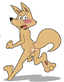 anthro balls blush body_blush butt butt_blush embarrassed genitals humanoid_genitalia humanoid_penis looking_at_viewer looking_back looking_back_at_viewer male male_anthro nude penis running solo tail young young_anthro young_male jerseydevil kaiketsu_zorori zorori canid canine fox mammal 2015 hi_res