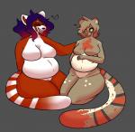 anthro belly big_belly breasts duo eyewear featureless_breasts female glasses heart_symbol markings nude pregnant ring_(marking) ringed_tail striped_markings striped_tail stripes tail tail_markings rilewd ailurid genet mammal red_panda viverrid riley_(disambiguation) hi_res