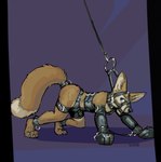 all_fours anthro bdsm bondage_gear bondage_gloves clothing collar cuff_(restraint) handwear harness male restraints simple_background solo turbinedivinity akasch canid canine fennec_fox fox mammal true_fox 2014