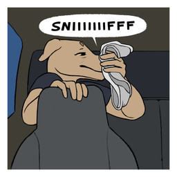ambiguous_gender anthro black_clothing black_shirt black_t-shirt black_topwear border car clothing fur grey_clothing grey_panties grey_underwear inside_car inside_vehicle musk onomatopoeia panties shirt sniffing sniffing_clothes solo sound_effects squinted_eyes t-shirt tan_body tan_fur text topwear underwear underwear_sniffing vehicle white_border yellow_eyes oystr lily_(oystr) canid canine canis domestic_dog hunting_dog mammal sighthound 1:1 hi_res