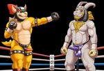 anthro ballboxing boxing boxing_gloves clothing duo erection erection_under_clothing facial_hair fighting_ring fur handwear headgear horn leather leather_clothing leather_headgear male male/male mature_anthro musclegut muscular muscular_male penis_clothing sport white_body white_fur dcheese mario_bros nintendo undertale undertale_(series) asgore_dreemurr bowser banzai_bill boss_monster_(undertale) koopa scalie 2025 alpha_channel digital_media_(artwork) hi_res