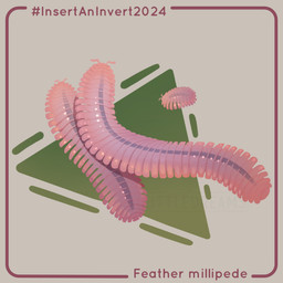 ambiguous_gender antennae_(anatomy) border feral glistening glistening_body gradient_body grey_background group hashtag larger_ambiguous larger_feral pink_body purple_body purple_border segmented_body simple_background size_difference smaller_ambiguous smaller_feral text triangle_(shape) trio cuttledreams arthropod feather_millipede millipede myriapod 1:1 2024 dated digital_drawing_(artwork) digital_media_(artwork) english_text species_name