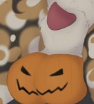 animal_genitalia anthro balls food fruit genitals holidays male penis penis_tip plant pumpkin pumpkin_balls sheath solo ryme halloween ryme_(character) african_wild_dog canid canine mammal