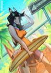 anthro black_hair clothed clothing female hair one_way_sign outside solo surfboard text nebanan fish marine shark english_text hi_res