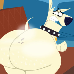 big_butt butt collar feral fur furniture looking_back male musk sofa solo tail white_body white_fur megabox producing_parker massino_(producing_parker) canid canine canis domestic_dog mammal 1:1 hi_res