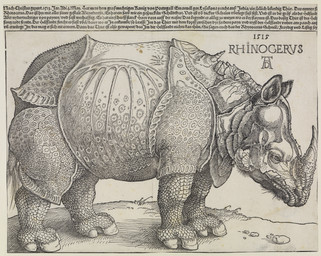 3_toes ambiguous_feral ambiguous_gender anatomically_inaccurate armor armor_plates feet feral horn print_(medium) quadruped scales side_view solo tail text toes woodcut albrecht_durer public_domain mammal rhinoceros 1515 16th_century ancient_art dated german_text hi_res monochrome signature species_name traditional_media_(artwork) translated