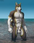 animal_genitalia anthro balls genitals male muscular muscular_anthro muscular_male navel penis penis_tip pink_sheath_slit sand sea sheath sheath_slit solo text tongue tongue_out water virtyalfobo patreon canid canine canis domestic_dog husky mammal nordic_sled_dog spitz 2022 absurd_res hi_res url