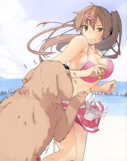 accessory beach big_breasts breasts brown_body duo female feral hair_accessory hairclip imminent_bestiality imminent_sex iwasaki_takashi nibutani_shinka canid canine canis domestic_dog human mammal