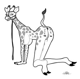 all_fours anthro ball_gag bodily_fluids body_writing butt buttplug collar female gag genital_fluids leash plug_(sex_toy) presenting presenting_hindquarters sex_toy solo vaginal_fluids herculesart giraffe giraffid mammal absurd_res hi_res