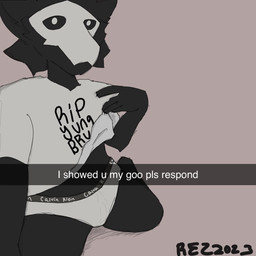 anthro biped black_body black_fur caption clothed clothing clothing_lift fur kneeling looking_at_viewer male pantsless shirt shirt_lift simple_background solo text topwear year rezlikesmen changed_(video_game) please_respond snapchat puro_(changed) 1:1 2023 english_text hi_res meme