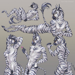 animal_genitalia anthro backsack balls butt casual_nudity fingers fur genitals grey_background hand_behind_head hands_behind_head hooved_fingers hooves licking looking_at_viewer looking_back lying male markings multicolored_body multicolored_fur multiple_poses muscular nude on_front pose raised_tail rear_view seductive sheath simple_background sitting solo striped_body striped_fur striped_markings striped_tail stripes suggestive tail tail_markings tasteful_nudity tongue two_tone_body two_tone_fur white_body ls0tapok dashing equid equine horse mammal zebra 1:1 absurd_res hi_res