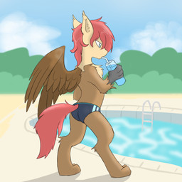 anthro clothing detailed_background drinking male semi-anthro solo speedo swimming_pool swimwear toony wings pzkratzer european_mythology greek_mythology hasbro my_little_pony mythology fan_character avian equid equine gryphon hippogriff horse hybrid mammal mythological_avian mythological_creature mythological_equine pegasus pony 1:1 absurd_res hi_res sketch