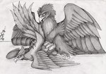 01phoenix01 2019 accipitrid accipitriform ambiguous/ambiguous ambiguous_gender ass_up avian bird duo eagle european_mythology feral graphite_(artwork) greek_mythology looking_at_another looking_at_partner looking_forward looking_pleasured lying monochrome mythological_avian mythological_bird mythological_creature mythological_firebird mythology on_front outside pen_(artwork) pencil_(artwork) phoenix raised_tail sex shaded spread_wings tail traditional_media_(artwork) vulture wings