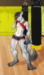 abs anthro athletic biceps bottle breasts clothed clothing clothing_lift container female fur gym hair muscular muscular_anthro muscular_female navel shirt shirt_lift solo standing tight_clothing tomboy topwear under_boob water_bottle wide_hips saruuk kyla canid canine mammal hi_res