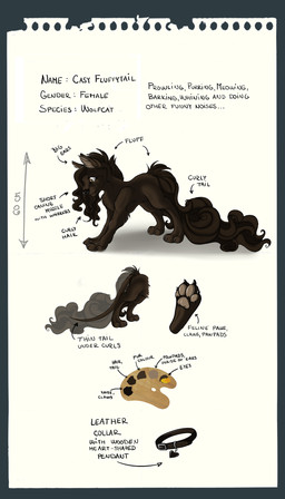 black_nose brown_body brown_fur brown_hair brown_tail cheek_tuft claws collar color_swatch facial_tuft feet female feral fur hair happy inner_ear_fluff long_hair pawpads side_view simple_background smile soles solo tail text tuft whiskers white_background yellow_eyes casynuf casy_the_wolfcat canid canine domestic_cat felid feline felis hybrid mammal 2015 4:7 digital_media_(artwork) english_text hi_res model_sheet