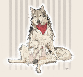 anatomically_correct anatomically_correct_genitalia animal_genitalia animal_penis balls black_balls brown_eyes canine_genitalia canine_penis chest_tuft feral fluffy fluffy_tail front_view fur genitals grey_body grey_fur kerchief knot knot_in_sheath knotted_penis lipsticking looking_at_viewer male neckerchief neckwear open_mouth paws penis pointy_ears presenting presenting_balls presenting_penis raised_paw sheath simple_background sitting solo spread_legs spreading tail tan_body tan_fur tongue tongue_out toony tuft white_body white_fur hotdogmeat canid canine canis domestic_dog hybrid mammal wolfdog 2025 digital_media_(artwork) hi_res