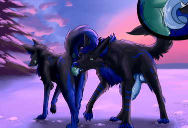 anatomically_correct anatomically_correct_genitalia anatomically_correct_penis anatomically_correct_vulva animal_genitalia animal_penis animal_vulva black_body black_fur blue_penis bodily_fluids canine_genitalia canine_penis canine_vulva close-up cunnilingus duo female feral footprint fur genitals knot licking male male/female narrowed_eyes oral pawprint penis plant saliva seductive sex snow sunset tongue tongue_out tree vaginal vulva muskydusky gunter_(wolfmedic94) canid canine canis mammal wolf hi_res
