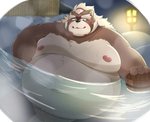 anthro balls bathing belly brown_body brown_fur fur genitals kemono male moobs night nipples obese obese_anthro obese_male overweight overweight_anthro overweight_male solo water kwzu lifewonders tokyo_afterschool_summoners goemon_(tas) canid canine mammal raccoon_dog tanuki 2021 hi_res