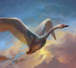 ambiguous_gender cloud feathered_wings feathers feral flying markings outside sky skyscape solo star wings peter_mohrbacher hasbro magic:_the_gathering wizards_of_the_coast anatid anseriform anserinae avian bird swan whooper_swan official_art