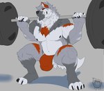 anthro barbell barbell_squats biceps black_nipples blue_eyes bulge claws clothed clothing crouching detailed_bulge exercise feet finger_claws fingerless_(marking) fingerless_gloves_(marking) fur gloves_(marking) grey_body grey_fur leg_markings logo male markings muscular muscular_anthro muscular_male nipples nude orange_body orange_clothing orange_fur orange_stripes orange_underwear pecs serratus socks_(marking) solo stripes teeth toe_claws toeless_(marking) toeless_socks_(marking) underwear underwear_only weightlifting weights workout kyojufolf strom_(skyshiemi) canid canine canis mammal wolf 2023 absurd_res artist_logo hi_res