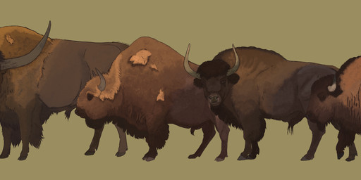 brown_body brown_fur feral fur green_background horn long_horn quadruped shaggy_fur simple_background tan_body tan_fur agustindiazart bison_antiquus bison_occidentalis giant_bison human mammal prehistoric_species steppe_bison 2024 absurd_res hi_res