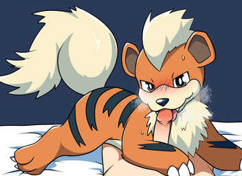 ambiguous_gender bed bed_sheet bedding bestiality black_body black_fur blush bodily_fluids claws duo erection fangs feral feral_on_top finger_claws first_person_view fur furniture genitals human_on_bottom human_on_feral human_pov humanoid_genitalia humanoid_penis interspecies larger_human larger_male larger_on_bottom licking looking_at_viewer male male/ambiguous male_on_bottom male_on_feral male_pov on_bottom open_mouth oral orange_body orange_fur penile penis penis_lick pokephilia sex simple_background size_difference smaller_feral smaller_on_top sweat tail teeth toe_claws tongue tongue_out yttriumi2f nintendo pokemon canid canine generation_1_pokemon growlithe human mammal pokemon_(species) absurd_res digital_media_(artwork) hi_res