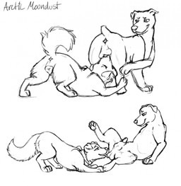 anatomically_correct anatomically_correct_genitalia animal_genitalia animal_penis animal_vulva ball_lick ball_sniffing ball_worship balls body_worship canine_genitalia canine_penis canine_vulva duo erection female feral feral_on_feral genital_worship genitals licking male male/female one_leg_up oral penis raised_leg sex sniffing spread_legs spreading tongue vulva arcticmoondust canid canine canis domestic_dog mammal hi_res monochrome sketch