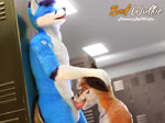 against_container against_locker against_surface anthro anthro_on_anthro anthro_penetrated anthro_penetrating anthro_penetrating_anthro anthro_penetrating_male archer bad_wulfie balls balls_deep bathroom blue_body blue_fur body_part_in_mouth bouncing_balls container deep_throat detailed_background duo erection eyes_closed face_fucking fellatio fur fur_markings genitals inside irrumatio kneeling kneeling_oral_position locker locker_room locker_room_sex male male/male male_penetrated male_penetrating male_penetrating_anthro male_penetrating_male markings moan multiple_angles oral oral_only oral_penetration penetration penile penile_penetration penis penis_in_mouth pent_up public public_nudity public_restroom public_sex public_use red_body red_fur sex slurping sound_effects tongue tongue_out white_balls zoom_in red_wulfie archer_(archer_fox) sko_(sko_fox) canid canine fox mammal 3d_(artwork) 3d_animation animated blender_(artwork) digital_media_(artwork) hi_res long_playtime sound webm